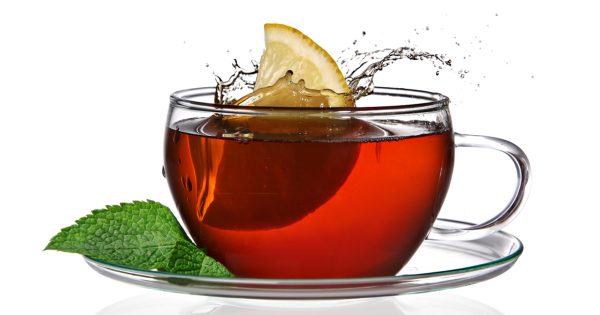 MatchaFusion Green Tea